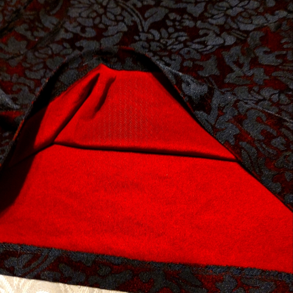 🐈‍⬛🎀🐈‍⬛ Sultry Gothic Bebe Black Floral Velvet & Crimson Scarlet Red Top - LJ - Picture 11 of 12